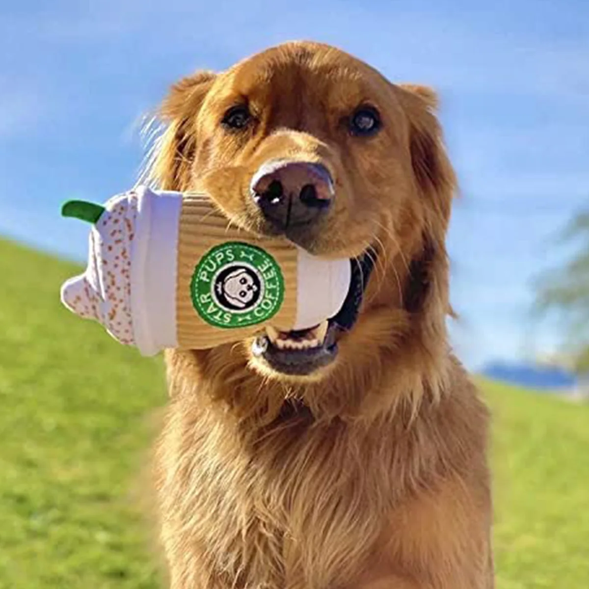 Custom Funny Squeaky Dog Plush Stuffed Toy Beer Soda Can Starbark Coffee Cup Shaped Dog Toy