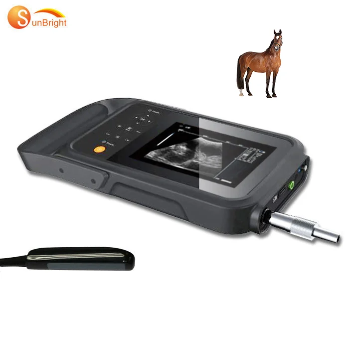 Ultrasound animal use cows sheep farm animal professional vet ultrasound