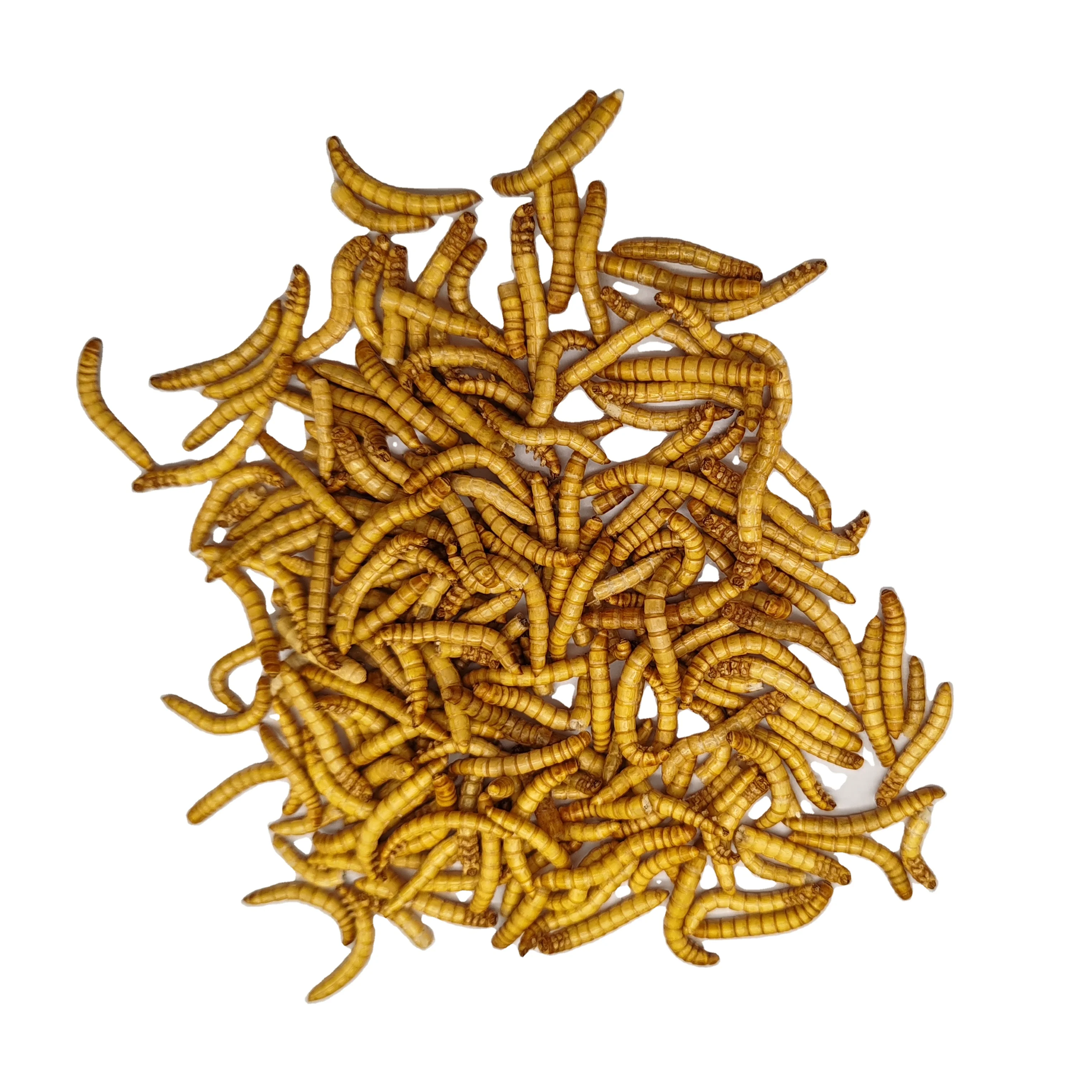 Сублимированные мучные черви с высоким содержанием питательных веществ и белка для птиц