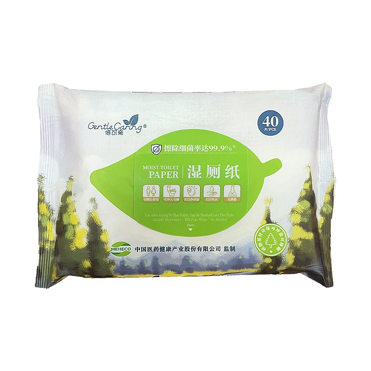 Printed Toilet Paper Tissue Bathroom Tissue with Moisture Lock Flip-Top Pack