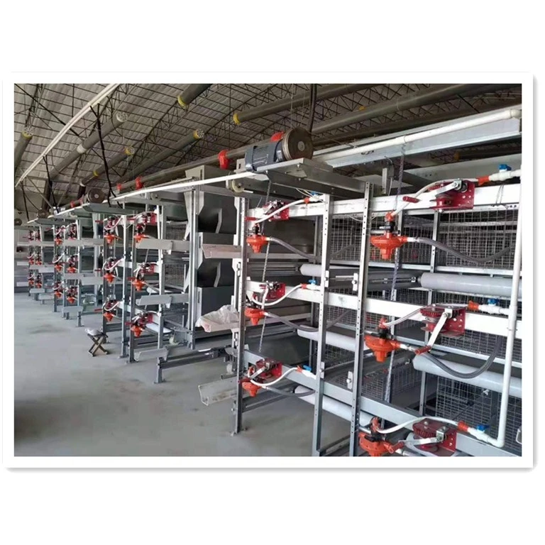 Hot galvanized 3/4 layers automatic auger broiler feeding system for poultry farm