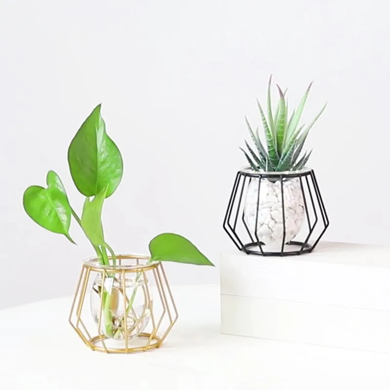 Desktop Ins wire metal geometric hydroponic container plant flower arrangement glass vase for home decoration