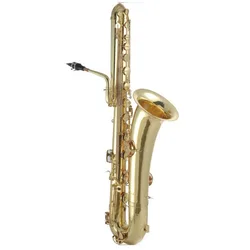 Professional Bass Saxophone/Big Saxophone