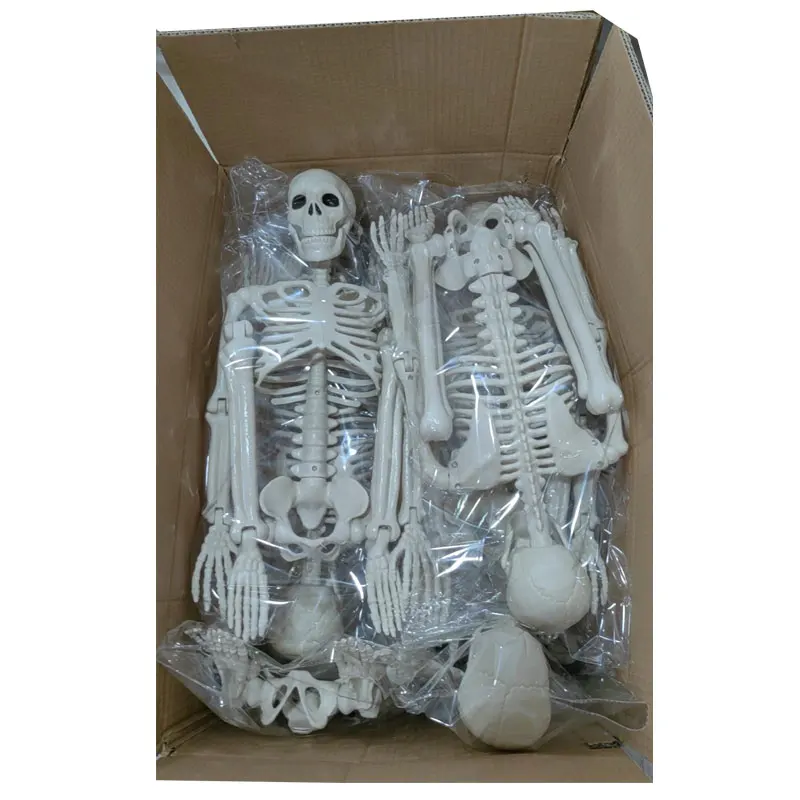 16 Inch Full Body Movable Halloween Hanging Skeleton Decoration with Movable Joints for Halloween Graveyard Haunted House Props