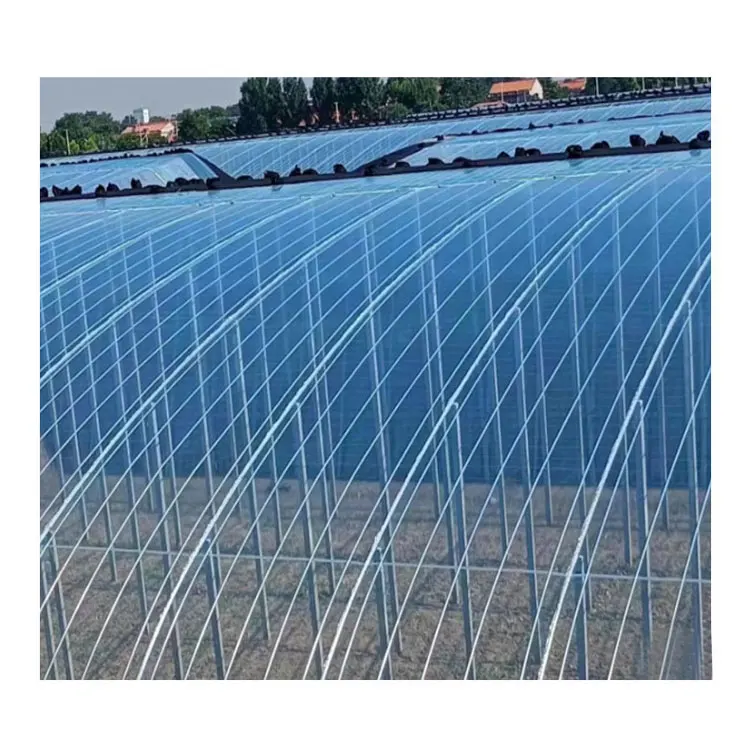 Polyethylene UV Treated Plastic Sheeting Anti-Drip Greenhouse Plastic Film
