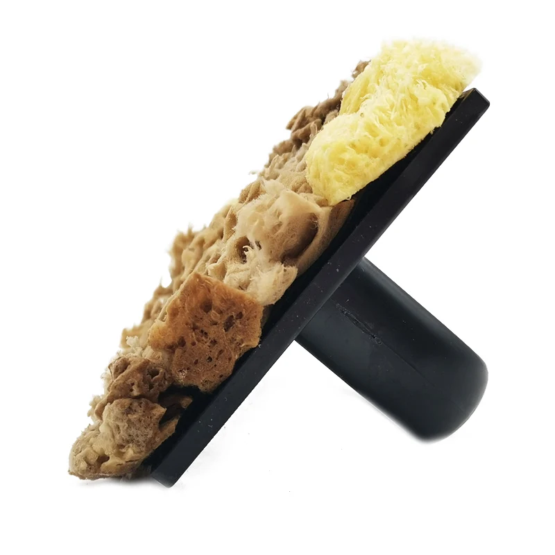 TuoFeng USA Brand Greece Natural Sea Sponge for Facial Cleaning Makeup and Body Bath Seaweed pat sponge