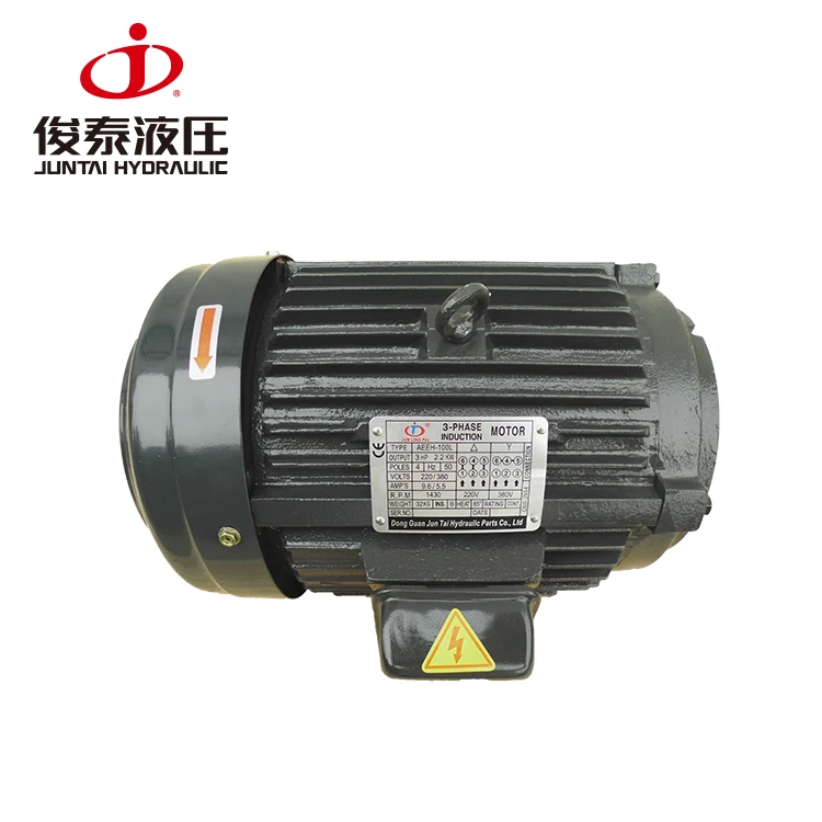 China factory cast iron single phase 2hp electric motor 220v Copper Wire 100% Output Power