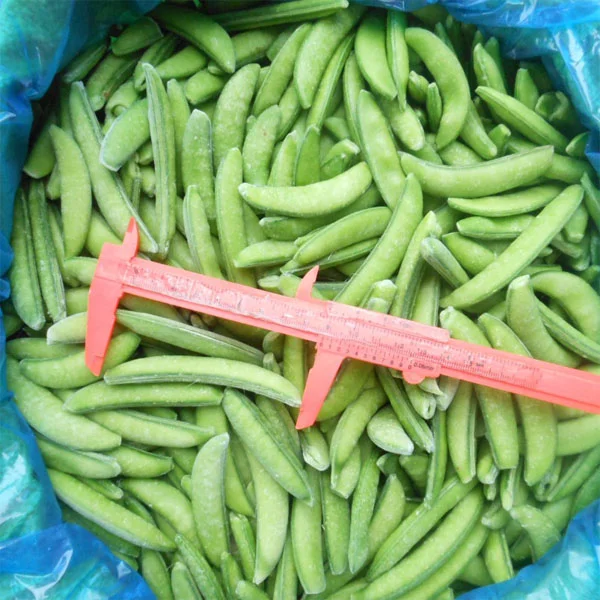 
frozen white champignon mushroom 