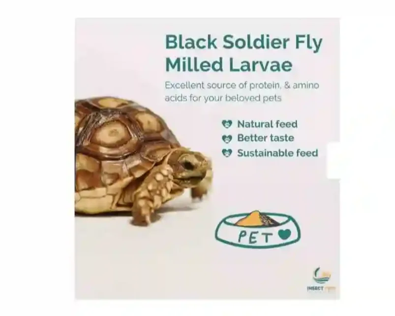 Highly Recommended 100% Natural Processed Milled Larvae Black Soldier Fly Insect Meal for Ornamental Fish  Koii Arowana