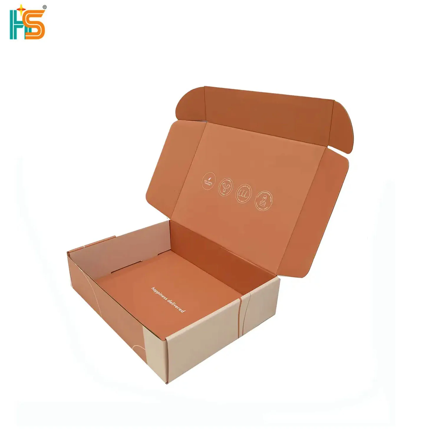Custom Logo Printed Ear Lock Corrugated Cardboard Paper Packaging Mailer Postal Shipping Box