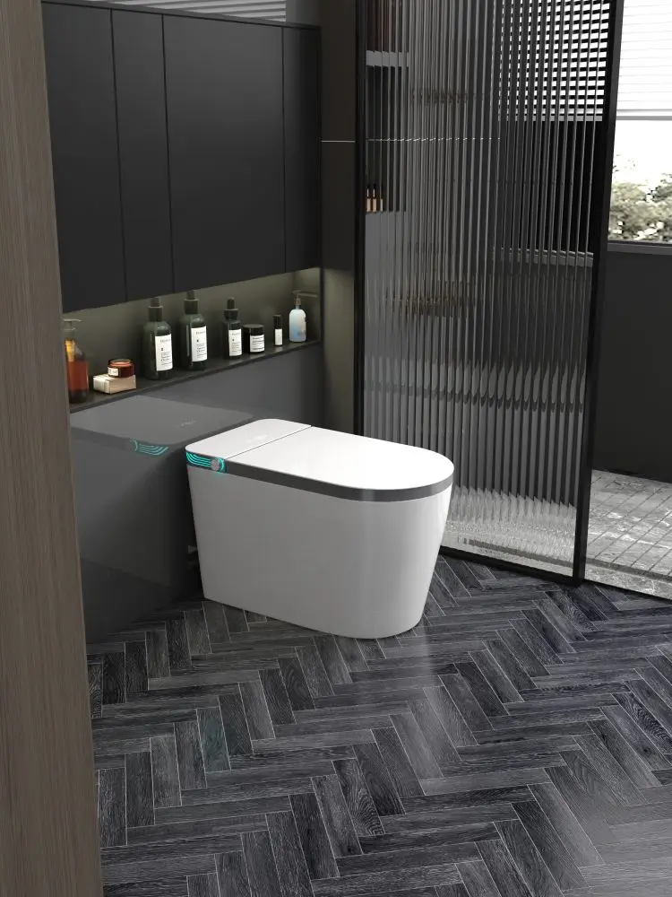 New Arrival Buttocks Washing toilet smart