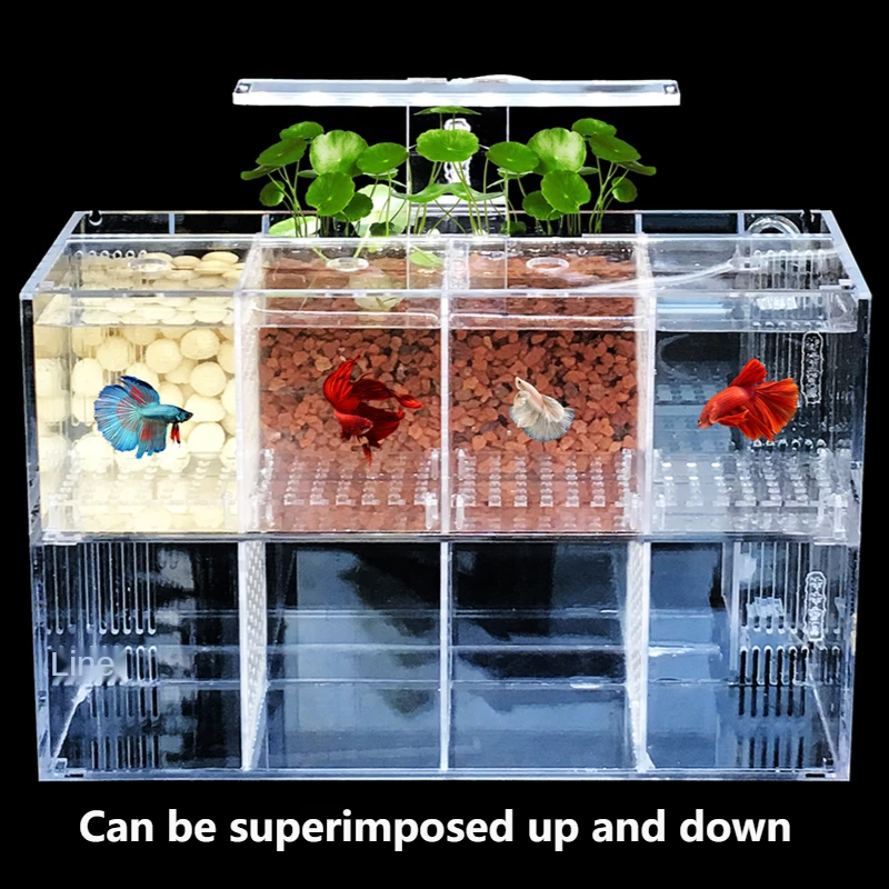New Arrival Desktop Mini Fish Tank Multi-Cell Water Pump Hot Sale Ecological Aquarium Tank