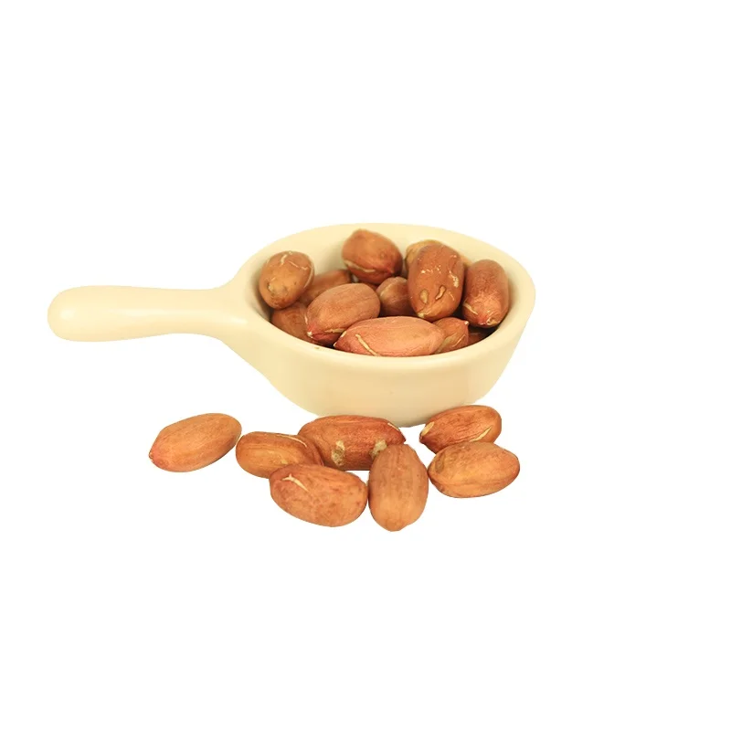 
China Shandong raw peanuts groundnuts Kernels seeds 24-26 