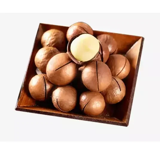 Best Grade Raw Macadamia Nuts