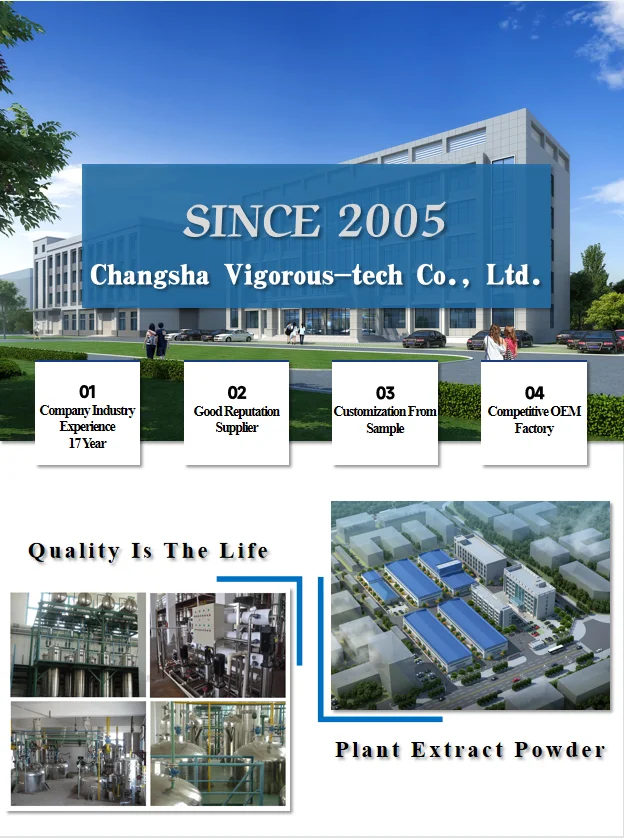 High quality factory supply cistanche 8%Echinacoside Extract powder