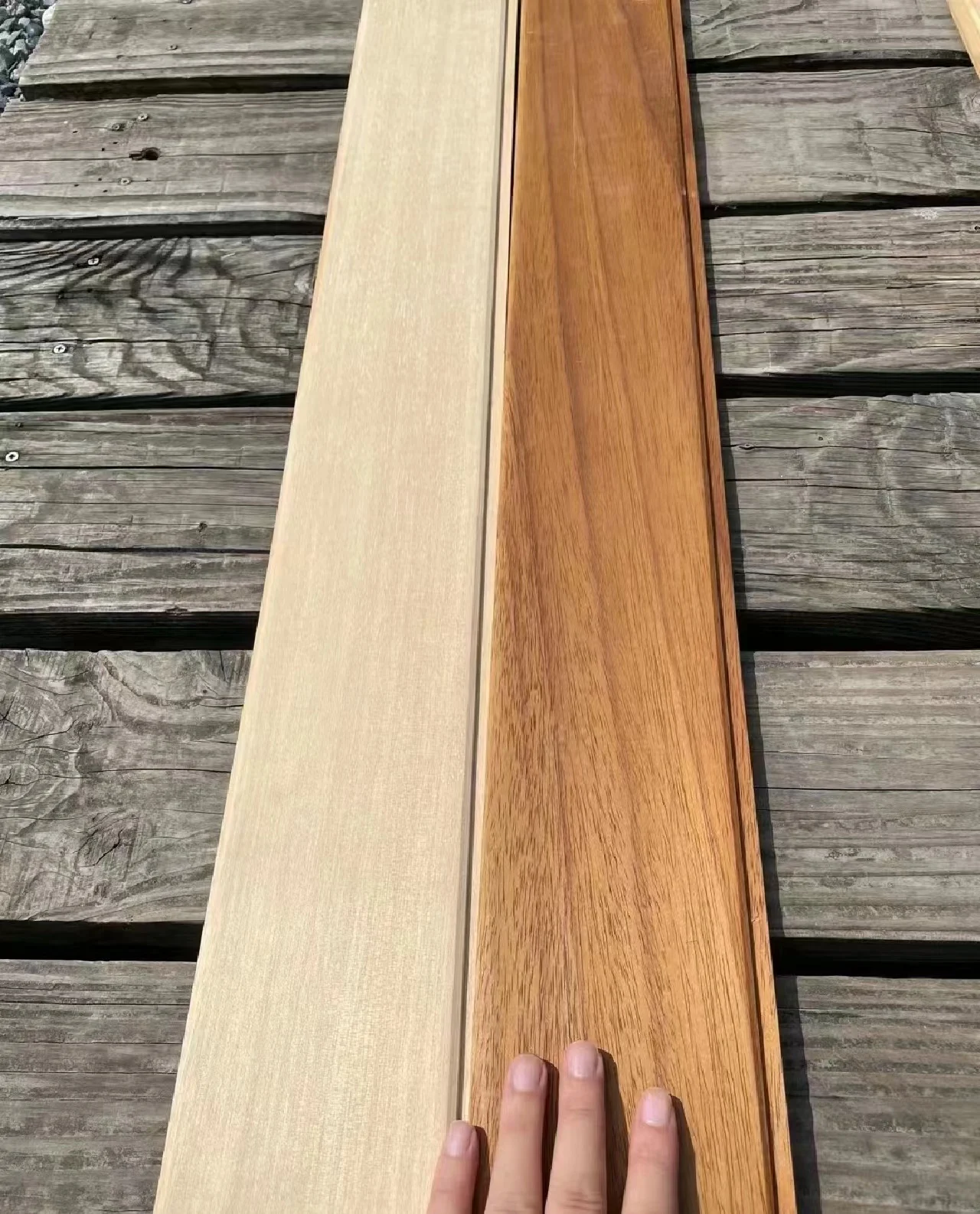 Cheap price paotong tree paulownia wood price m3 wood panel paulownia solid wood board