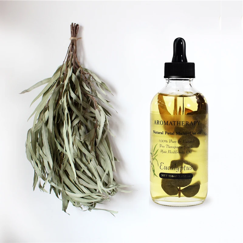 Best Selling Private Label Organic Massage Oil 100% Natural Eucalyptus Essential Oil Essence for Face Body and Hair