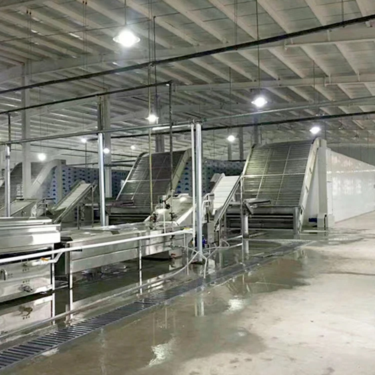 Herbal medicine vegetable food 100kg 200kg  vacuum freeze dryer   price low manufacture from China