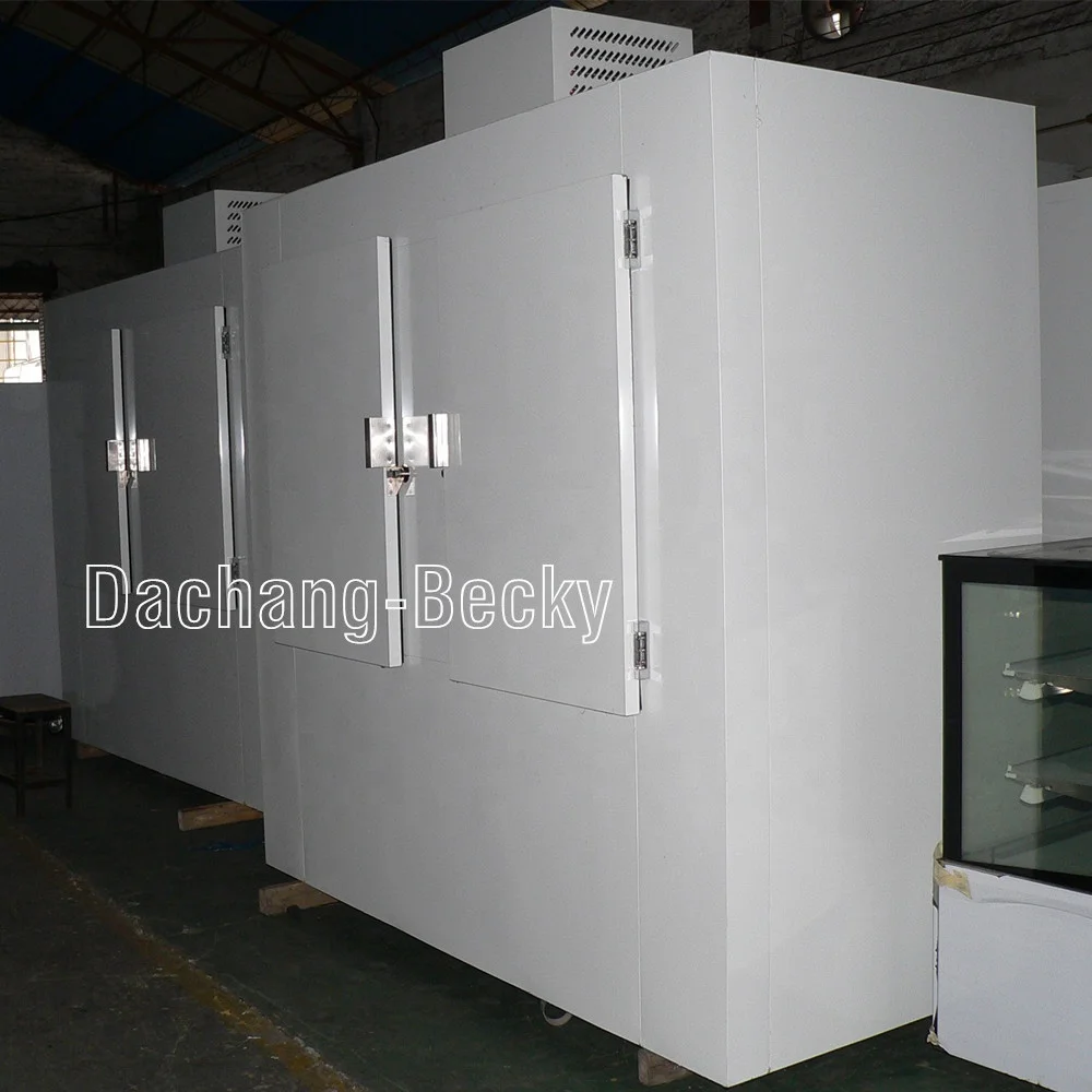 Static Refrigeration System 2 Solid Door Ice Machine Storage Bin Wall Ice Merchandiser Indoor