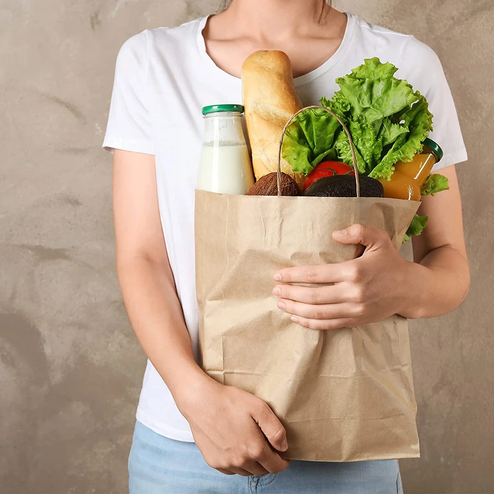 Custom Logo Printed Recyclable Twisted Handle Reusable Shopping  Kraft Paper Bag