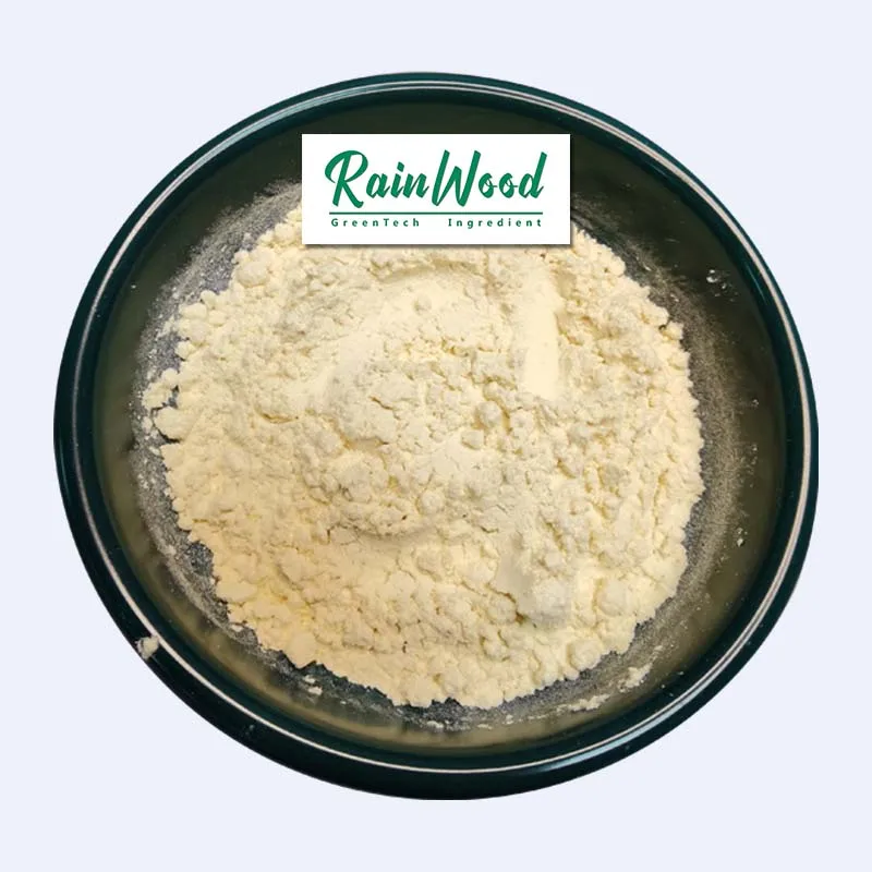 Rainwood supply high quality Alkaline protease Food grade protease Alkaline protease powder for protein hydrolyzate