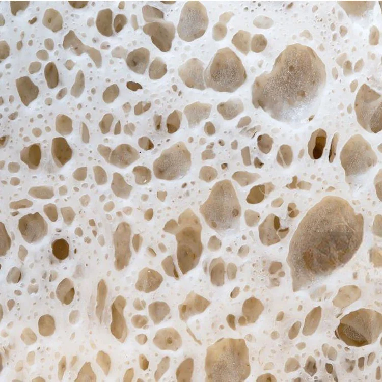 Yeast starter, Yeast for baking, Organic yeast, Yeast sachets, Yeast for kombucha, active dry yeast, yeast instant, dry yeast