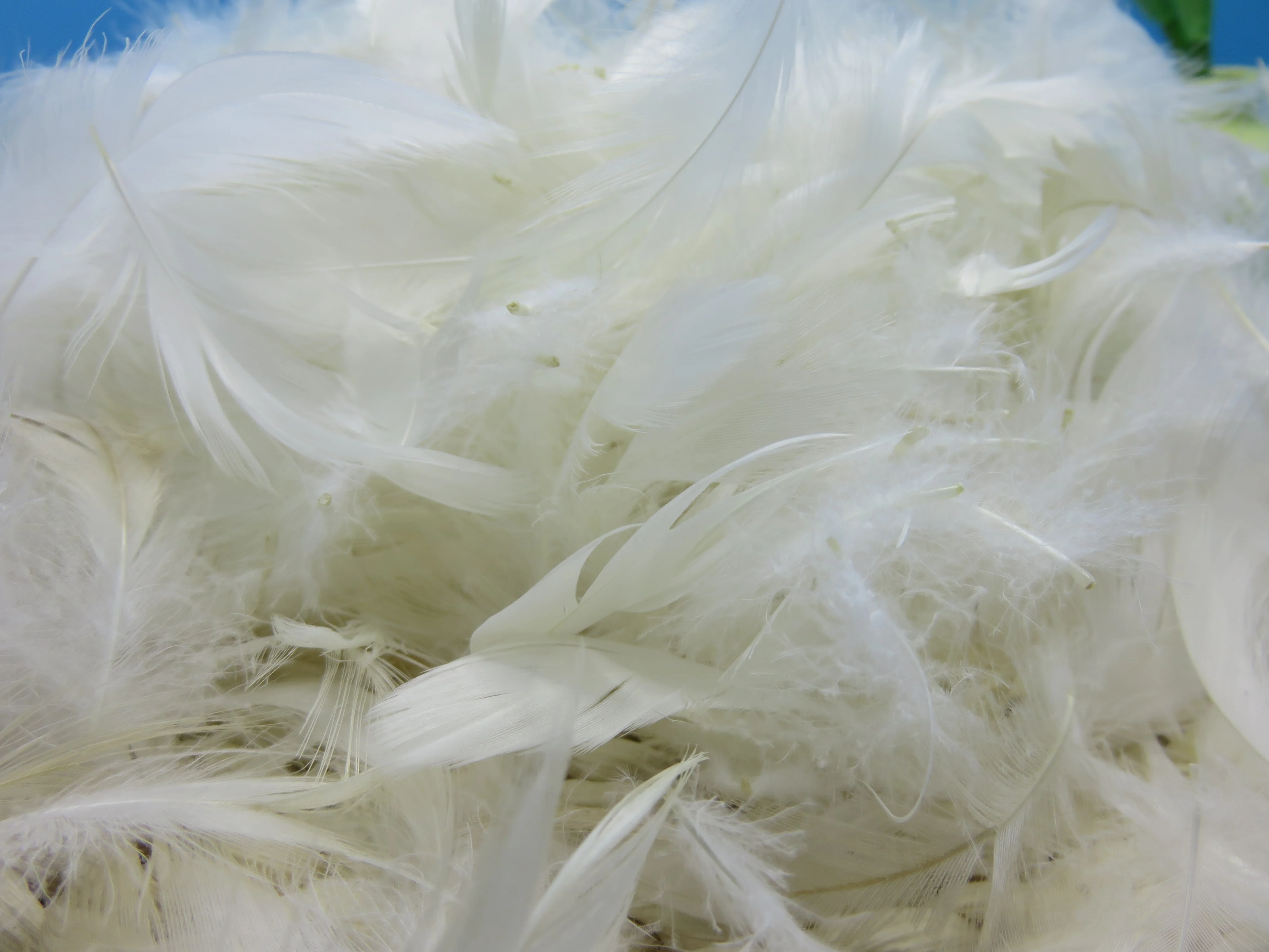 Washed Pattern 4-6 Cm White Duck Feathers - Superior Quality Product