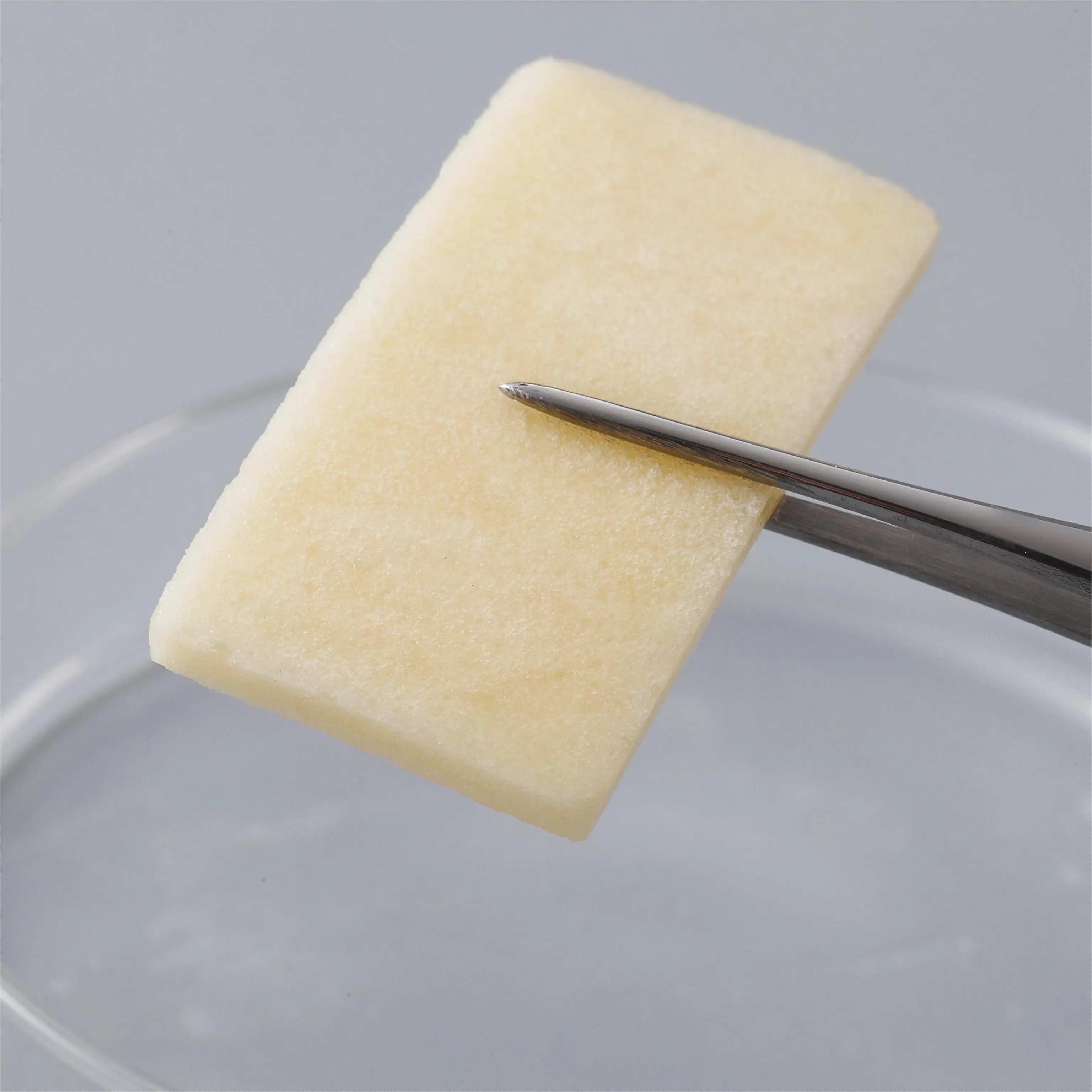 Osteoconductive Degradable Collagen Bone Graft Material Synthetic Bone Periosteum Bone Membrane Fusion