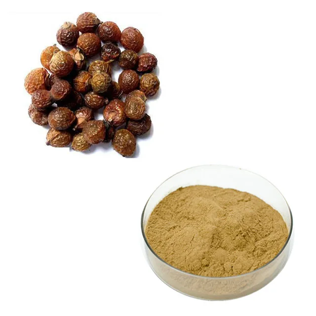 Hongda Factory Supply Sapindus Mukorossi Extract Soapnut Fruit Extract Sapindus Saponaria Extract