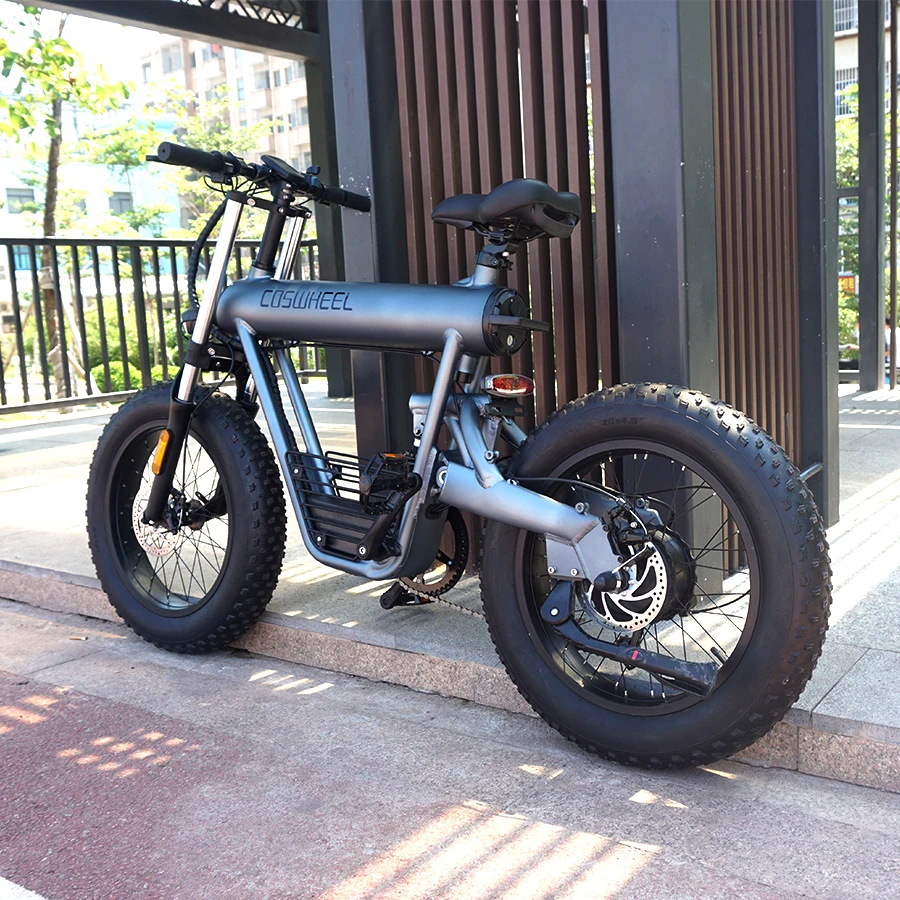 Elettriche Dual Motor Ebike 500w Electric Fat Bike Electric Road Bike Electric City Bike