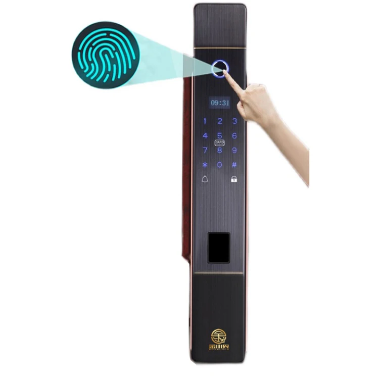 wholesale oem outdoor password electronic audio fingerprint gate smart digital door lock with camera