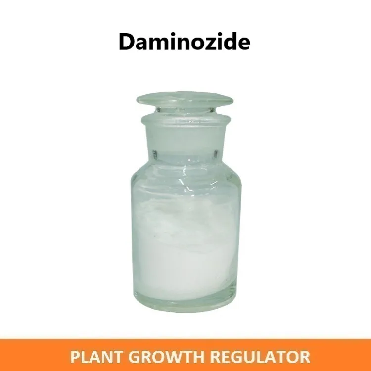 B-nine daminozide B9 99%TC 92%SP 85%WSG cas 1596-84-5 plant growth regulator daminozide B9 BNine,B Nine