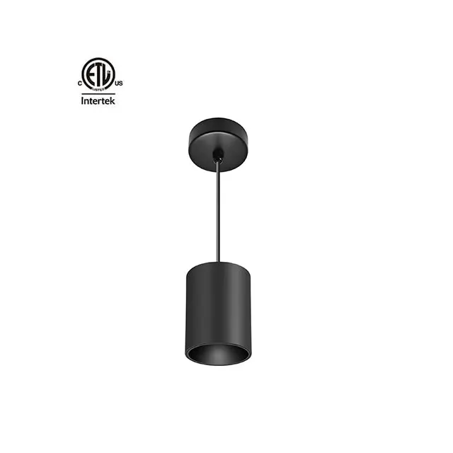 SZDAYTON Lighting Master D IP65 Series wide power range surface mounted led COB downlight 15W-90W cylinder pendant downlight