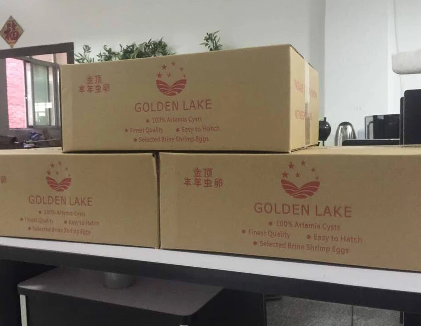 Artemia Cysts eggs..jpg