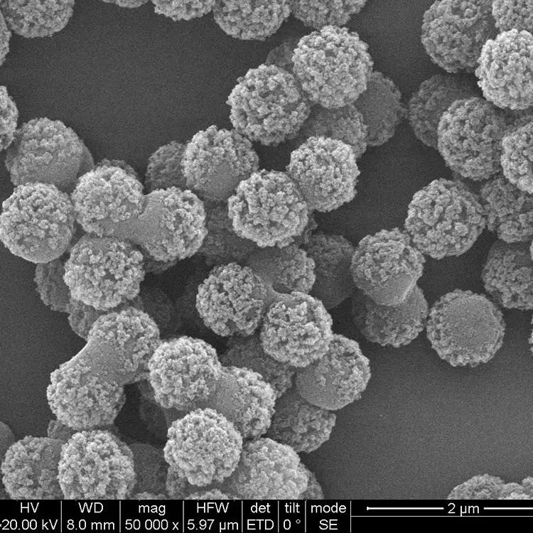 DNA/RNA nucleic acid extraction Generation sequencing best price China factory gene synthesis