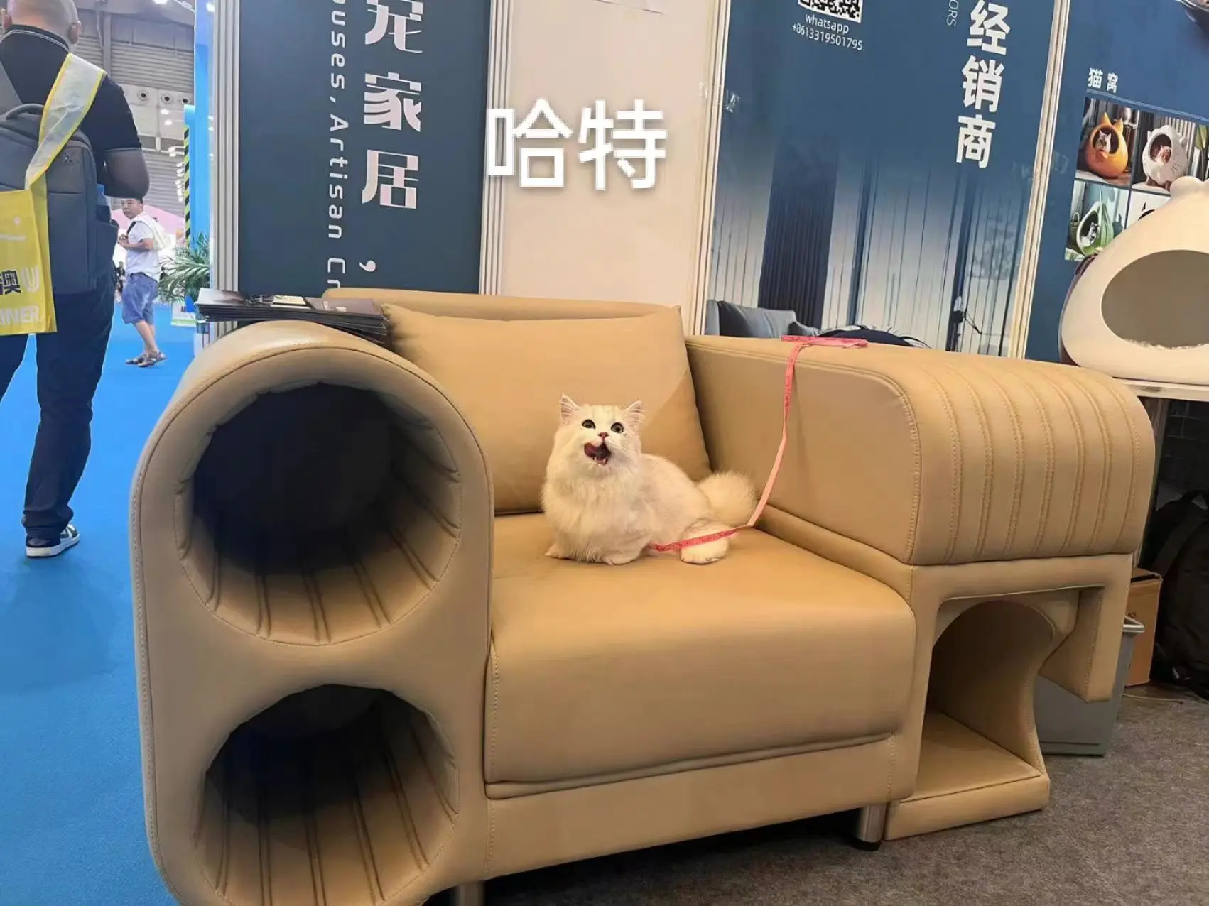 Pet furniture pet products cat sofa for pets