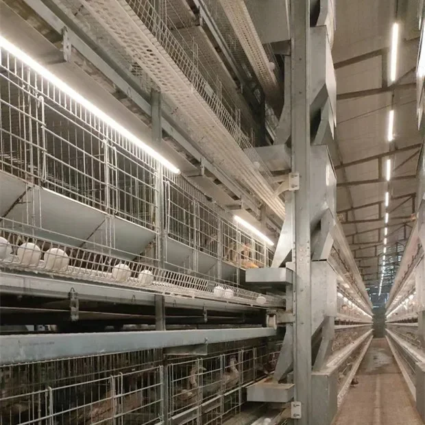 Wholesale Price Full Automatic H-Shaped Chicken Cage For Farm Use