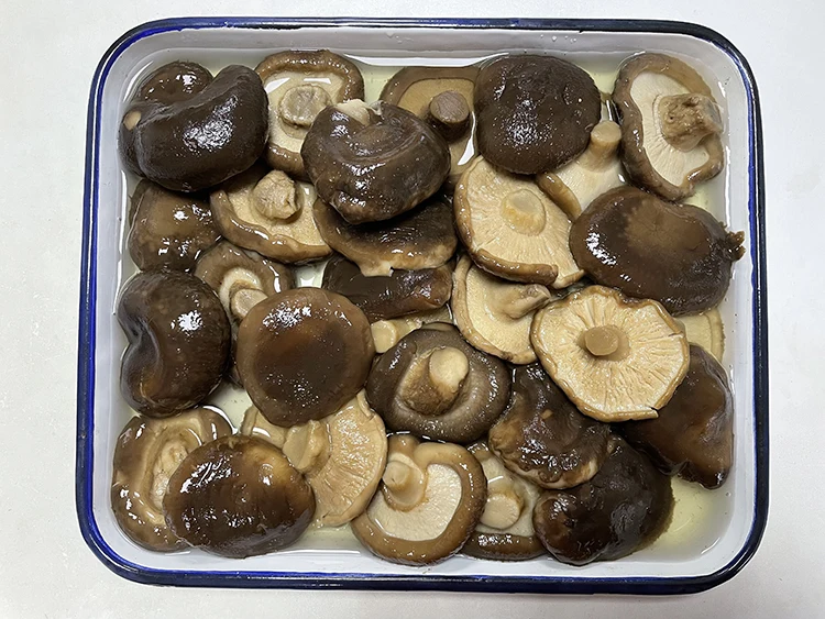 HALAL Certified Canned Shiitake Mushroom in Brine Canned Vegetables