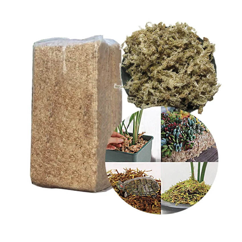 Sphagnum Moss Custom Compressed Dry Brick Sphagnum Peat Moss For Reptile Substrate Plants