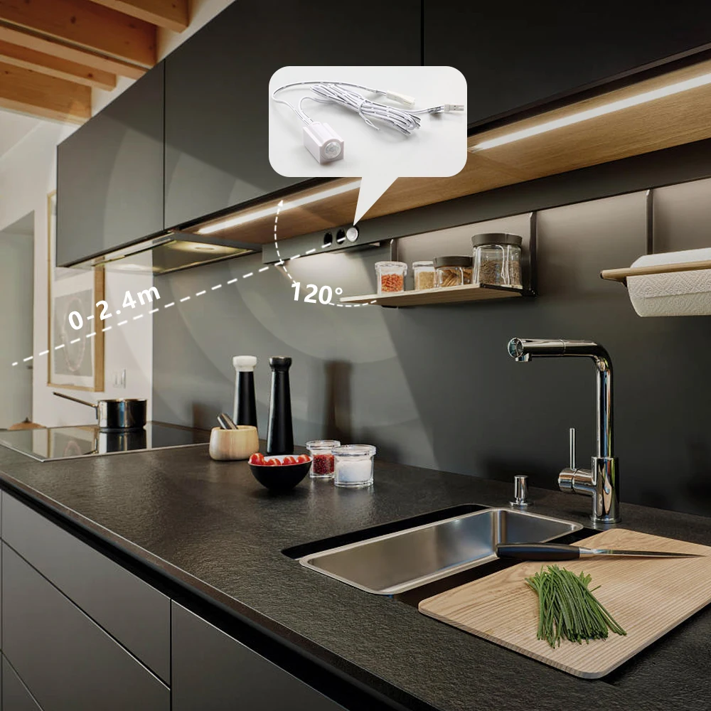 5A LDE lamp controller dimmer switch PIR infrared human motion sensing switch