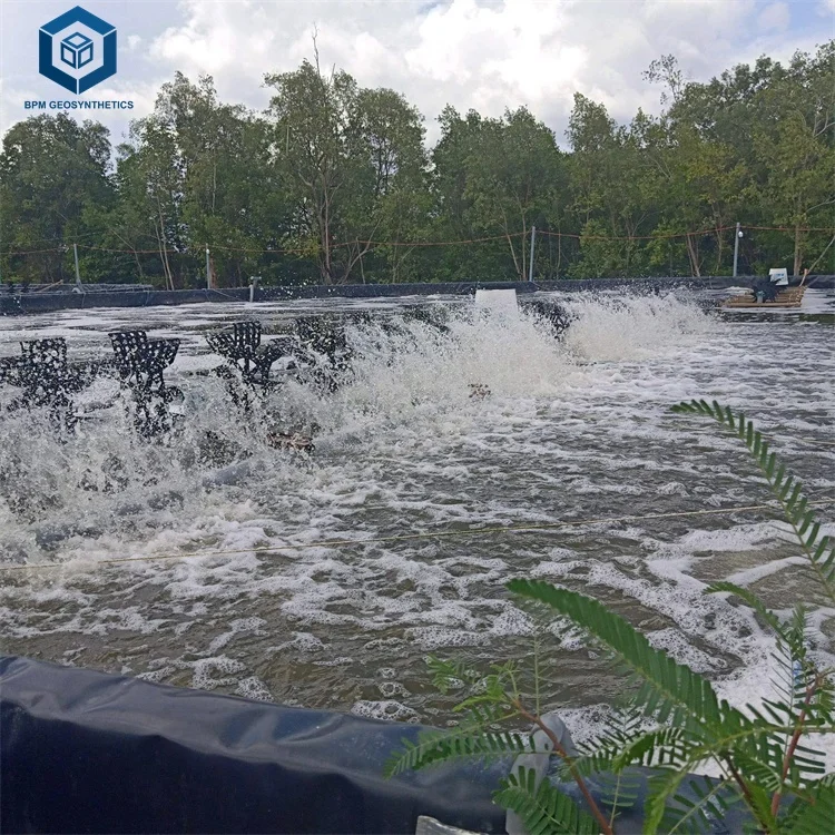 Smooth 30mil 20mil Thickness HDPE Geomembrane for Aquaculture Project in Malaysia
