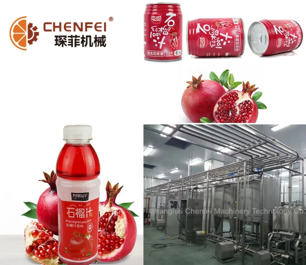 Dried fruit chips processing machine/plaintain chips making machine