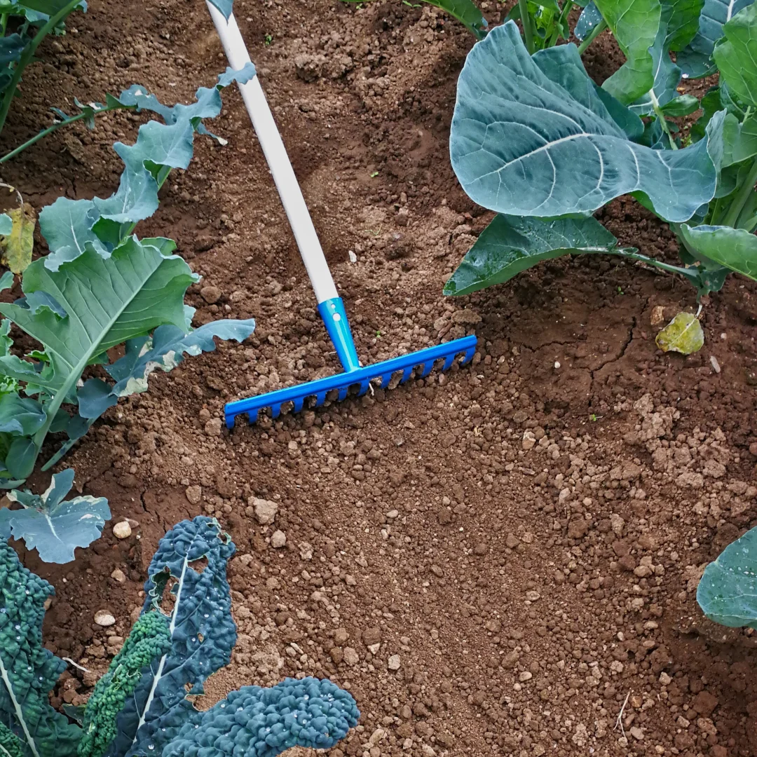 Italian Quality Ultralight Steel 16 Tines Rake with 120 cm Handle for Gardening Maintenance