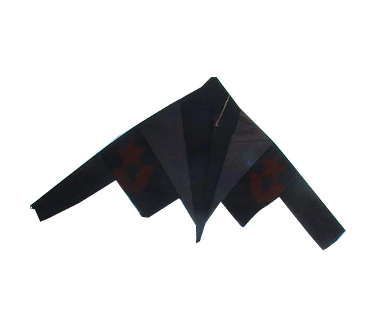 Factory Supplying Cartoon Kite Customized Color For Beach Trip