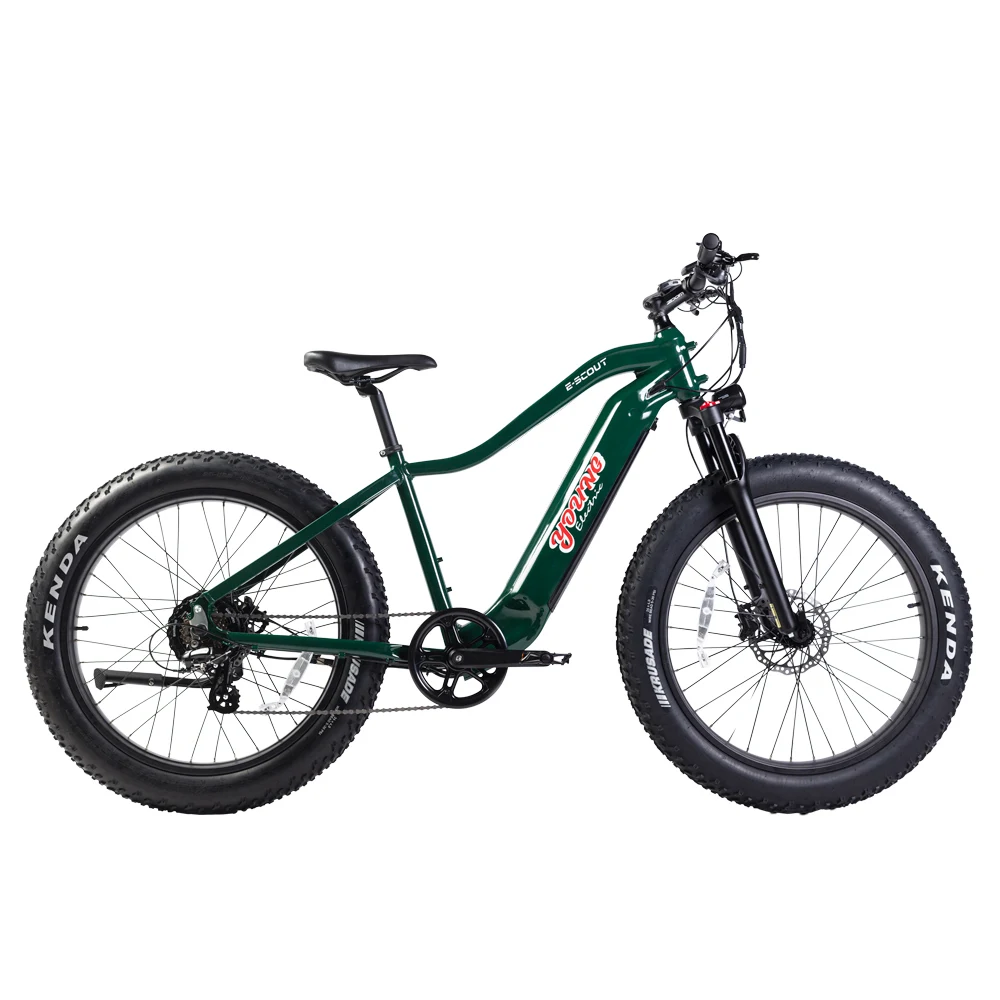 Original 750w Motor E Bike Shimano 10 Speed Electric Bicycle Fat Tire Electr Bike Cruiser Ebike