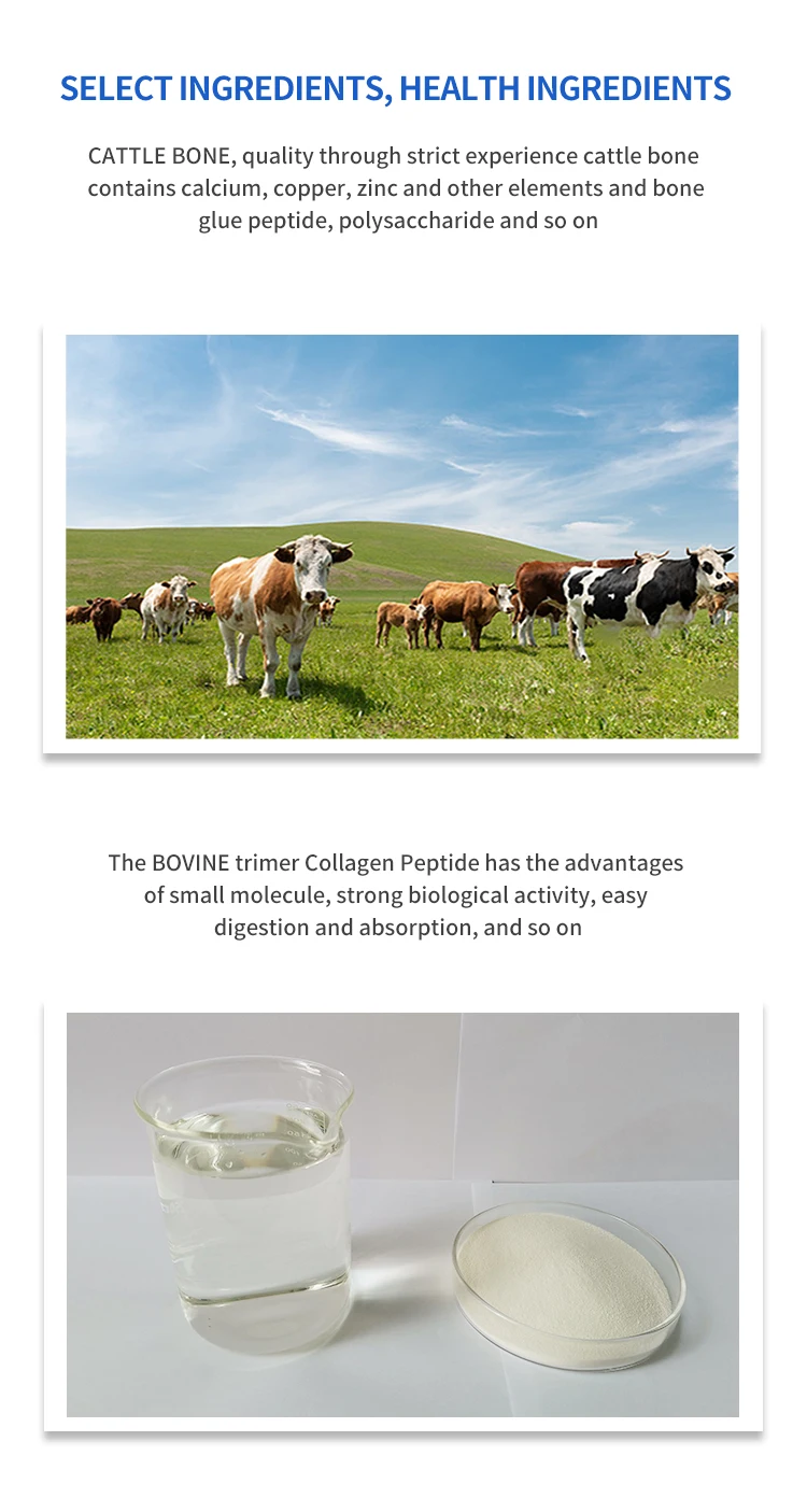 bovine collagen protein