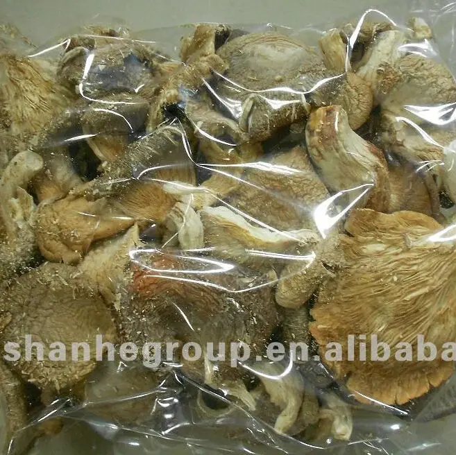 Китайские грибы вешенки 2*4см