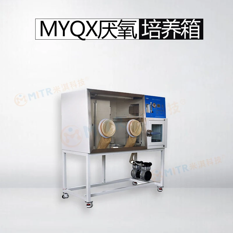 Laboratory Anaerobic Incubator Chamber