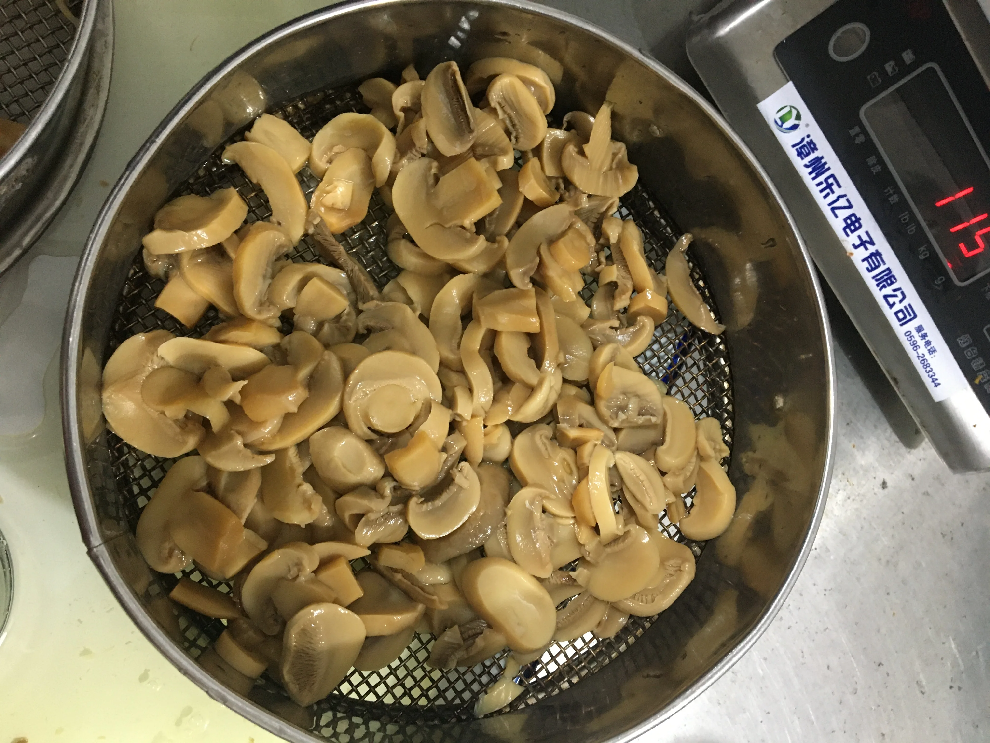 
canned pieces and Stems mushroom canned champignon 2021 crop 