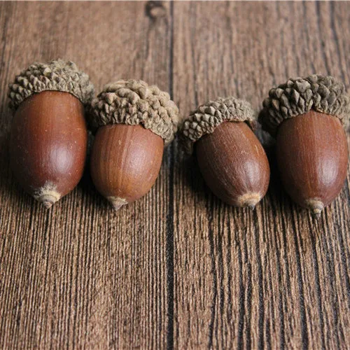 Dry Flowers  Big Acorn for Handmade DIY Material  Christmas Tree Hanging Decoration and Interior Hanging Decoration